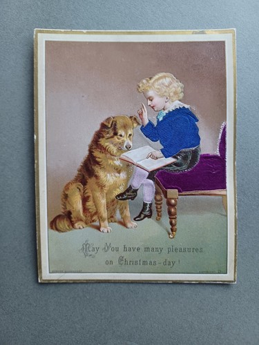 Embossed silk victorian - silk,