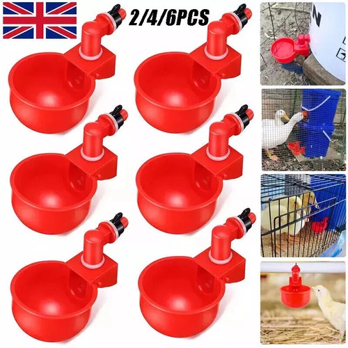 Automatic chicken water - automatic,