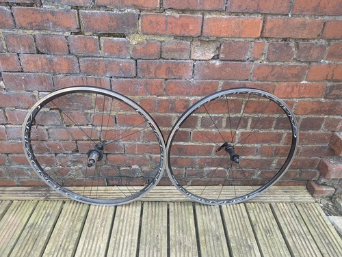 Campagnolo khamsin c17 700c - campagnolo,