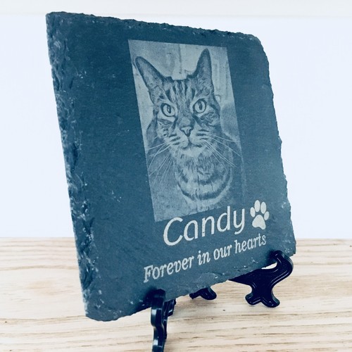 Pet memorial plaque - pet,