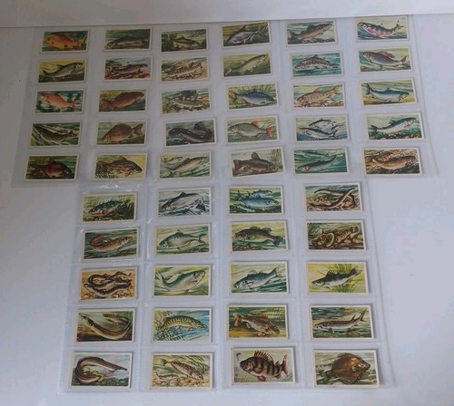 Brooke bond tea cards - bond,