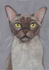 Original drawing artwork portrait picture intelligent Fawn Burmese cat