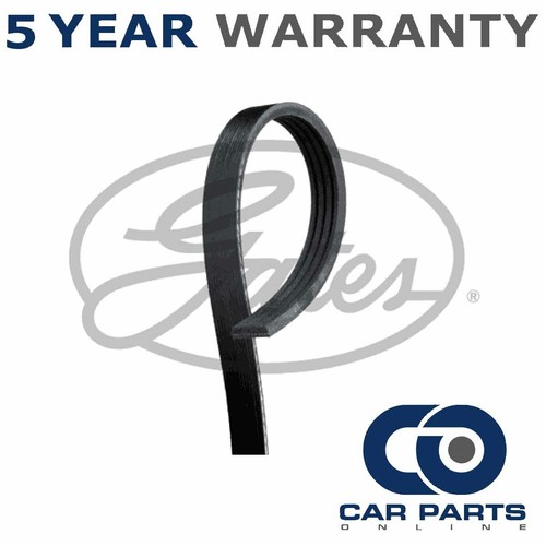 Gates ribbed belts - belts, fits