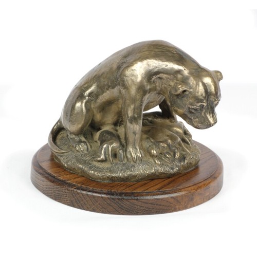 Staffordshire bull terrier - bull,