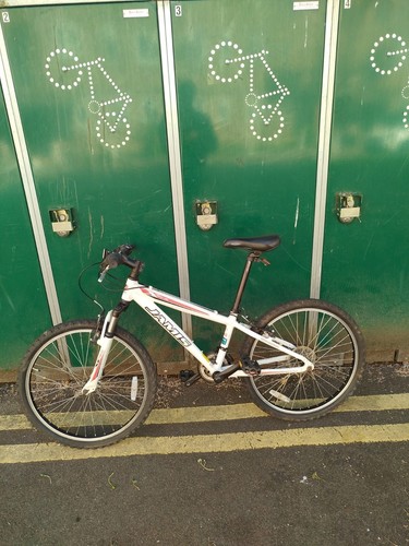 Jamis mountain bike front - mountain,