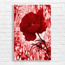 Red Poppy Flower Canvas Print