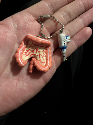 Ethicon large intestines - large,