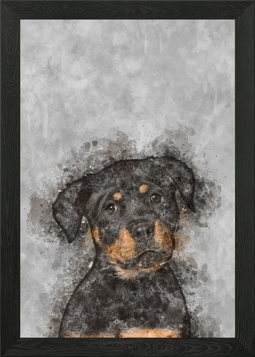 Rottweiler puppy framed wall - puppy,