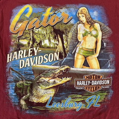 Gator harley davidson - harley, t