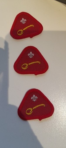 Vintage cub badge - cub,