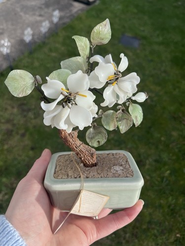 Vintage jade tree - tree, by