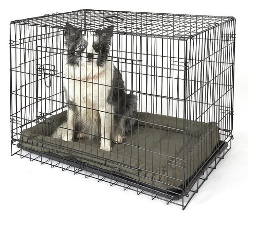 Double door dog crate large - dog,
