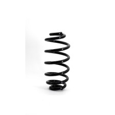 Genuine NAPA Rear Right Coil