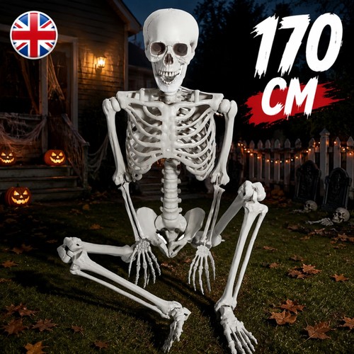 Halloween poseable skeleton - halloween,