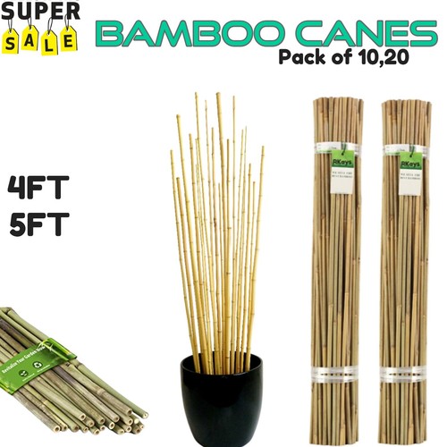 Large bamboo canes heavy - large,