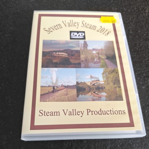 Severn valley steam 2018 - severn,