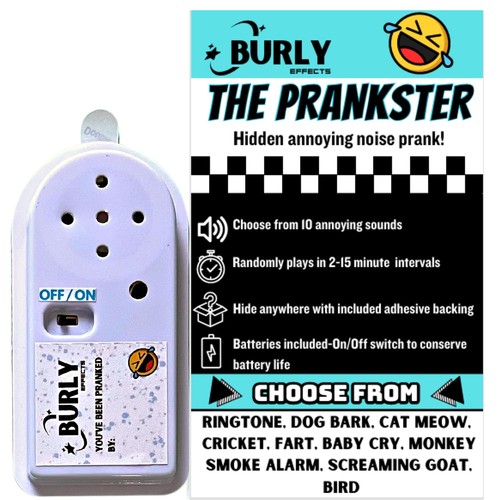 Hidden noise maker gag - noise,