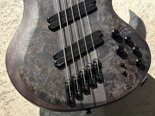 Ibanez btb805ms bass - bass, guitar