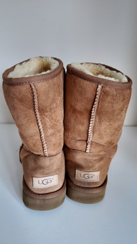 Ugg chestnut classic - ugg,