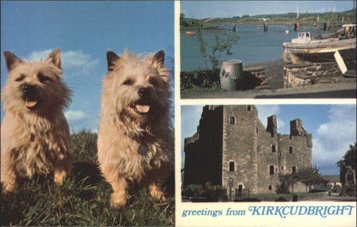 Vintage kirkcudbright postcard - vintage,
