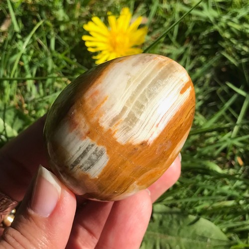 Green onyx egg carving crystal - green,