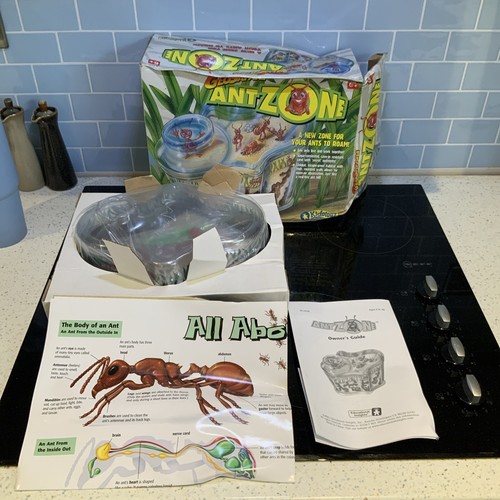 Ant house farm - ant,