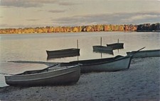 CEN Muskegon Wolf Lake MI 1964 Cottages and Homes on 3.5 sq. mile Wolf Lake!!!