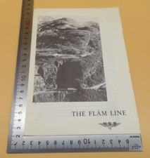 NSB The Flam Line Trainline
