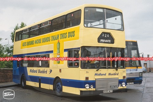 Bus photo midland bluebird - bus,