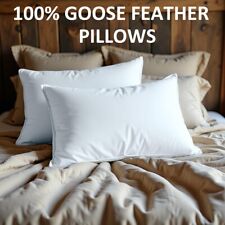 Goose Feather & Down Pillows