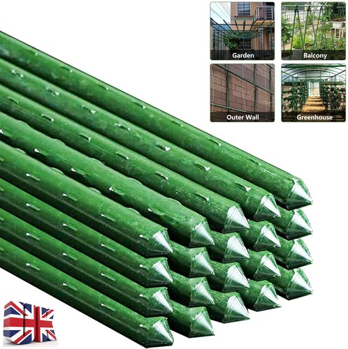 Hydroponics garden plant - garden,