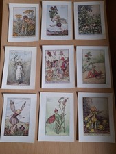 VINTAGE FLOWER FAIRIES LOT OF 9 WILD FLOWERS C.M.BARKER c1930 5"x4" TANSY FAIRY