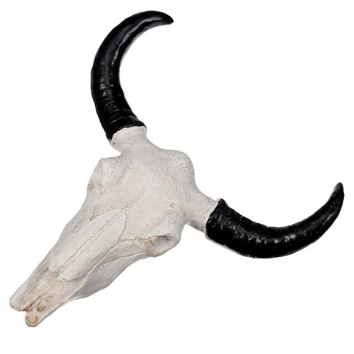 Wall hanging cow skull - cow,