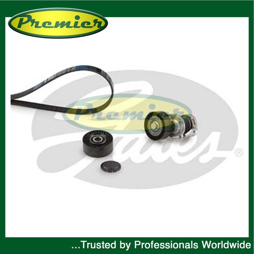 Premier alternator belt kit - premier,