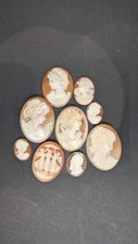 Vintage Shell Cameo Collection – 9 Pieces • Natural Carved • 20x15mm–40x30mm