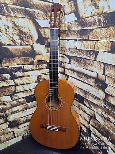 Asturias flamenco custom - flamenco,