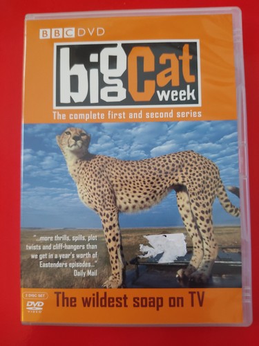 Big cat week complete 1st - big, week: