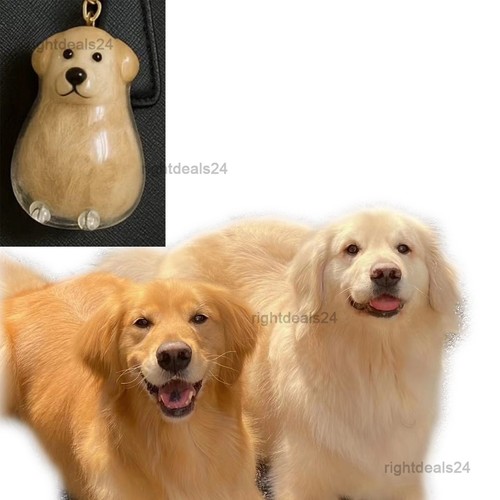 Dog hair storage - dog,