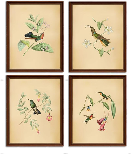 Vintage birds botanical - birds,