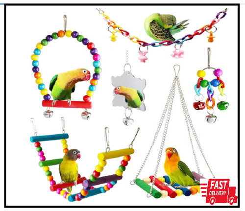 Bird parakeet cockatiel toys - bird,
