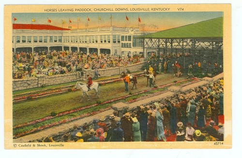 LOUISVILLE,KENTUCKY-HORSES