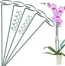 Plant Supports Metal Plant