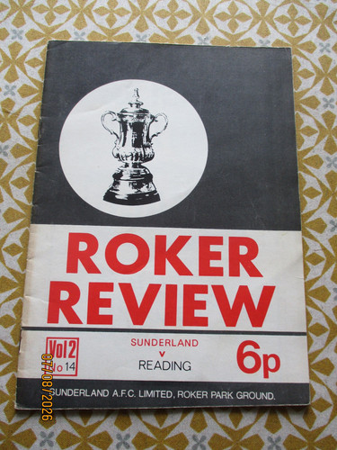 Sunderland afc versus reading - afc,