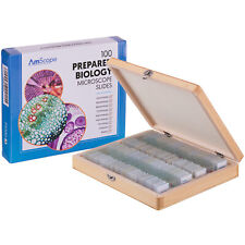 AmScope 100pc Prepared Glass