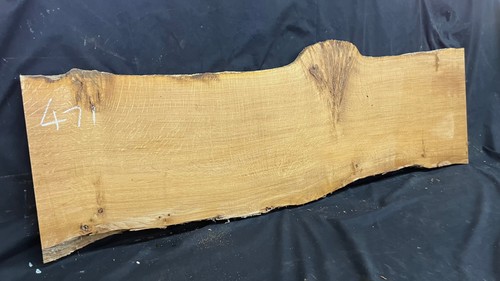 Burr oak slab - ,, shelving