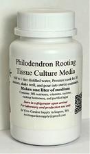 Philodendron and similar ready