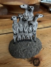 Nice Little Group Of Meerkats