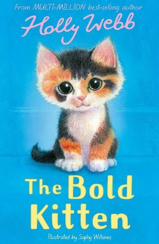 The bold kitten - (holly, webb