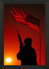 State defender hero Framed