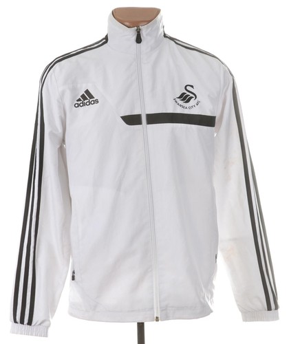 Swansea city 2013 2014 - swansea, 2013/2014